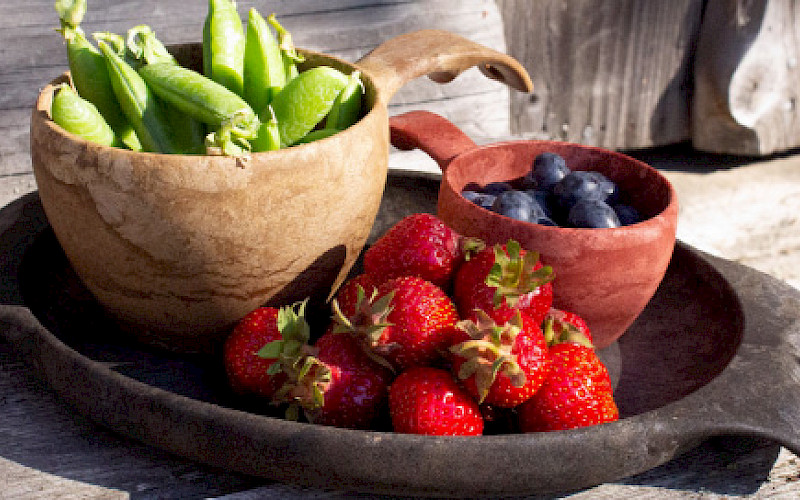 Plasthill Oy:n investointi- ja kehittämishanke